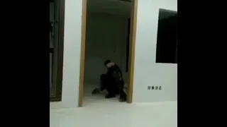 Shahin Mostafa Serial 