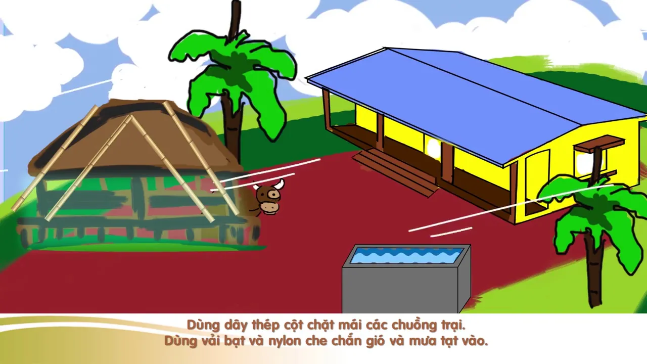 Outline Video Kỹ năng phòng chống thiên tai: Hướng dẫn an toàn trước bão