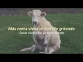 The smiths - Meat is murder (sub. español /lyrics)