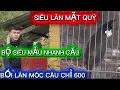 Lagu SIÊU LÂN MẶT QUỶ BỘ SIÊU MẪU CỰC NHANH CẦU - BỔI LÂN MÓC CÂU HÀNG TUYỂN CHỌN TO KHỦNG CHỈ 600