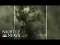 Doctors Warn Of High Pollen Counts This Allergy Season NBC Nightly News