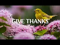 Download Lagu GIVE THANKS | Worship \u0026 Instrumental Music With Scriptures | Christian Harmonies