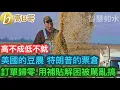 Download Lagu 美國的豆農 特朗普的票倉 訂單歸零 用補貼解困被駡亂搞［智慧如水 – 高B哥 GBG］ 20250820
