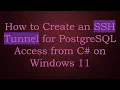 How to Create an SSH Tunnel for PostgreSQL Access from C on Windows 11