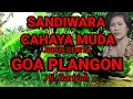 Download Lagu Goa Plangon | Sandiwara Cahaya Muda Full | Hj Dariyah