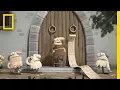 Lagu A Fun, Animated History of the Reformation and the Man Who Started It All | Short Film Showcase
