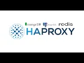 HaProxy external-check functionality