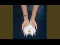 Download Lagu like an orchid / kembali (Baila's Lullaby)