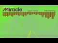 Calvin Harris feat. Ellie Goulding - Miracle