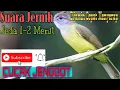 Download Lagu MASTERAN MURAI BATU SUARA CUCAK JENGGOT JEDA 1-2 MENIT