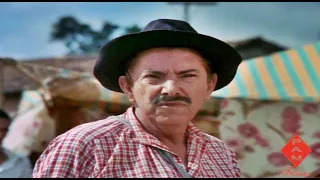 MAZZAROPI- CHUMBO TROCADO; Não dói.