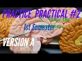A P PRACTICE PRACTICAL 1st Semester Practice Practical Version A