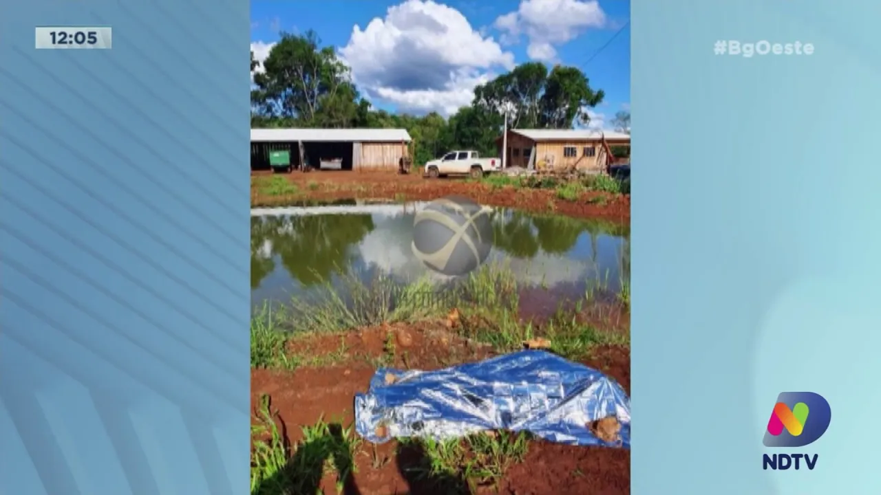 Bandeirante: Idoso é atacado por abelhas, se joga em açude e morre afogado