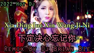 Download Xia Ding Jue Xin Wang Ji Ni (下定决心忘记你) 2022 Hot Remix By Dj Brian Bie MP3