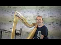 Autre Chose pour Harpe à Leviers / Lampions / Harpe et Composition François Pernel