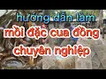 Download Lagu hướng dẫn các bài mồi đặc cua đồng, mồi chạy mạnh nhất