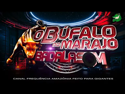 Download MP3 Cd Badalasom o Búfalo do Marajó em Curuçá-pa no aniversário do Dj Ito CD relíquea ano 2012