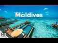 Download Lagu Maldives in 4k Ultra HD Drone Video - 2023