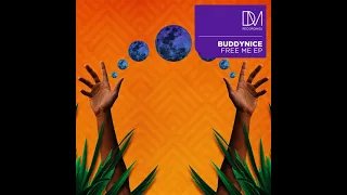 buddynice black diamond original mix 