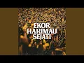 Ekor Harimau Sejati