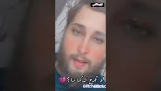 شيلة حبيبتي ام الجمال اليوسفية زيد اللامي 2021 