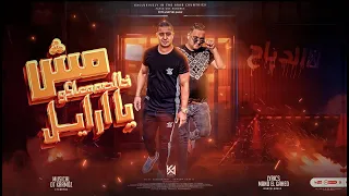 مهرجان   مش خالصه معاكو يا ارايل     وصل دباح الكوكب   ميسو ميسره و مودي امين   توزيع قط كرموز      دندنها