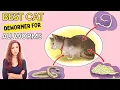 Best Cat Dewormer For All Worms - Eliminates All Parasites Within 1 Week