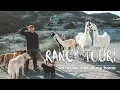 Cesar Millan s Animal Paradise in LA Ranch Tour