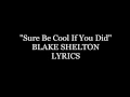 Sure Be Cool If You Did Blake Shelton Lyrics