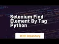 selenium find element by tag python