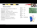 Praxis Study Computing Systems
