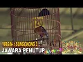 Download Lagu BALI FIESTA CUP 2 Anis Merah Sungokong 3 Yang Sebelumnya Bernama Virgin Jawara Di Kelas Penutup