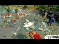Lagu sekian lama gak cari ikan sisa panen! sekali nemu langsung gepuk😍😍😍🤲