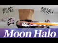[Violin] Honkai 3 Moon halo (herrscher of flamescion pv music)