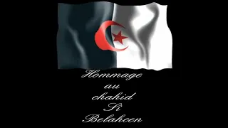 الله يهديك يا واد الشولي    أغنية بدوية عن الثوار    الله يرحم الشهداء دندنها