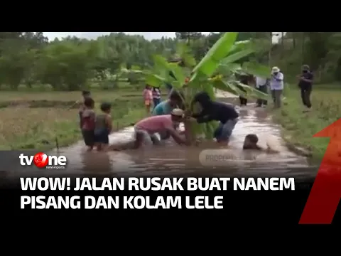 Kesal Jalan Rusak Tak Diperbaiki, Warga Tanam Pohon Pisang & Lepas Ikan Lele