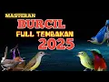 Download Lagu 2 jam masteran Sultan BURCIL 2025 Roll tembak rapat mudah masuk suara jernih