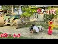 Download Lagu Khitei kai খণ্ড-৬৩।।Season 2।।khitei kai assamese comedy//Assamese new video 2022