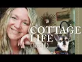 Life Lately -