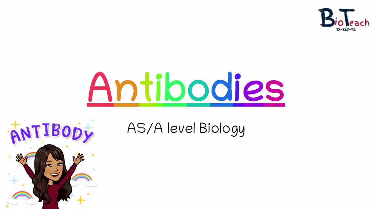 Antibodies Structure and function: AS/A level Biology - BioTeach