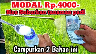 Download Modal Rp.4000 Bisa bikin Pupuk Semprot untuk tanaman padi Paling Bagus MP3