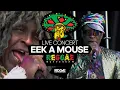 Lagu Eek a Mouse's Unforgettable Live Act: Reggae Rotterdam Festival's Insane Moment!