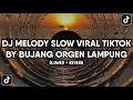 Download Lagu DJ MELODY SLOW BY BUJANG ORGEN LAMPUNG VIRAL TIKTOK YANG KALIAN CARI (SLOWED + REVERB)