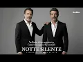 NOTTE SILENTE - RASELHITS FEAT @ARMANDO_BASILIO ( CINEMATIC ITALIN BALLAD )