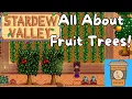Stardew Valley Tutorial All About Fruit Trees How and Where to Grow Them and More