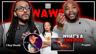 Domani Disses 50 Hey What s a Firebug WAWD