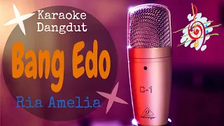 Download Karaoke BAng Edo - Ria Amelia (Karaoke Dangdut Lirik Tanpa Vocal) MP3