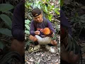 Download Lagu Kaget banget jerat ayam hutan akhirnya dapat juga dan ada ayam hutan lainnya datang😳 #649 #KOOKIKO
