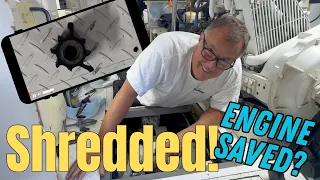 SHREDDED IMPELLER & SALTY TALK! 🚨 Critical Cooling Failure & Sourcing Parts in Mexico