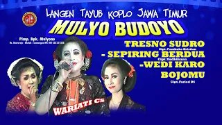 Download TRESNO SUDRO- SEPIRING BERDUA - WEDI KARO BOJOMU / TAYUB MULYO BUDOYO LIVE LAMONGAN VOL.3 MP3
